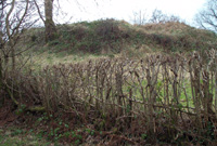 Y Domen Fawr, Tafolwern