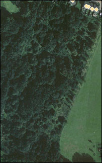 Oakes Road Recreation Ground from above