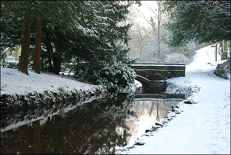 Winter snow in Sunnyhurst woods. 