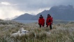Harriet and Phil observing a pair of wandering albatross at their nest.