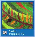 Image from the gallery