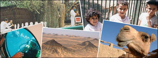 A montage of Marwa's photos