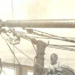 What a Great toy.Copyright.Sheila.Dawn.2005