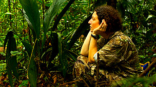 Kim Bostwick en los bosques nublados de Ecuador