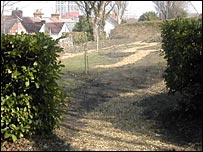 Nature Reserve at the Ranor Street Cemetary