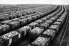 March 1927: Marshalling Yard Roath Dock Storage