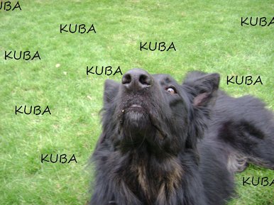 Grrrrrrrrrrrr..........