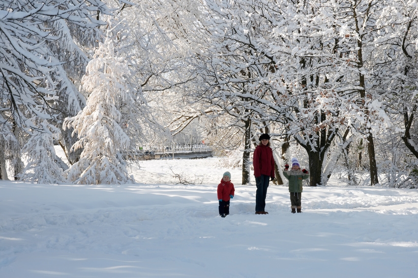 family in winter park @ Wildman - fotolia