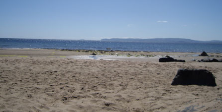 Arran