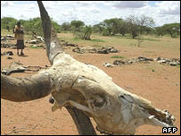 خشکسالی در آفريقا