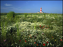 Happisburgh lighthouse (detail)