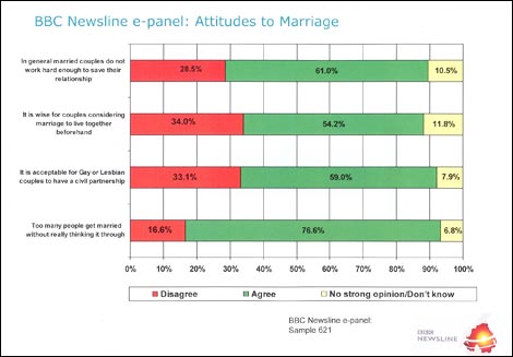 BBC Newsline e-panel results