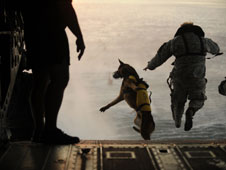 Special Forces dog and soldier in parachute training