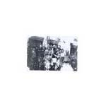 My family celebrating VE Day