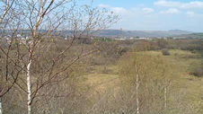 Yr olygfa o fynydd Gribarth