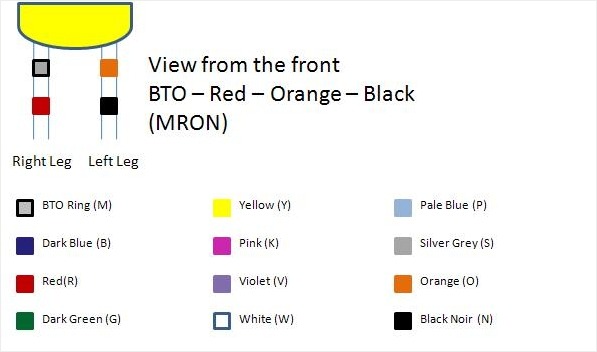 Diagram of coloured rings