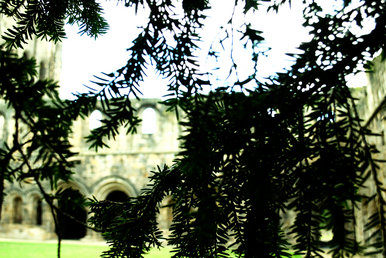 Kirkstall Abbey 1