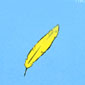 Feathers...