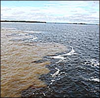 Злиття Ріо Негро та Амазонки