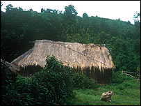 انڈیا کے جنگلات