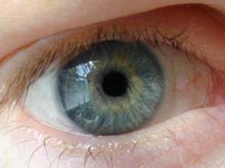 Biometric devices could identify you from your iris