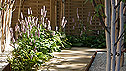 The Go Mordern Garden