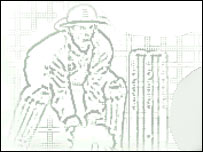 کرکٹ کا بخار