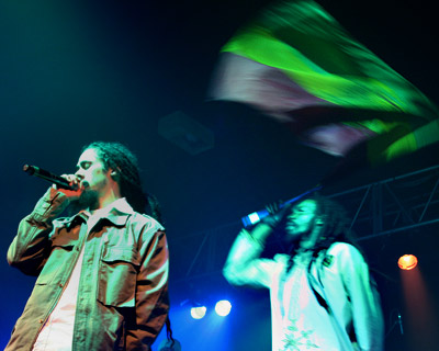 Damian and the Lion of Judah flag