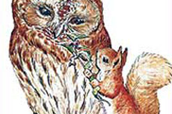 Image: Centenary of Beatrix Potter's Squirrel Nutkin