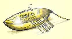 The Broighter gold boat. Approximate size 10 cm long