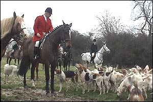 Image: Fox Hunting
