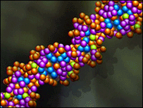 DNA humano