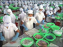 Chế biến hải sản xuất khẩu