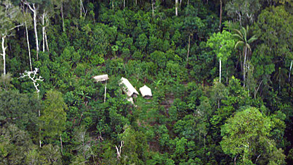 The huts of the uncontacted group, as seen by the crew from the air. Picture by Pete Eason, sound recordist