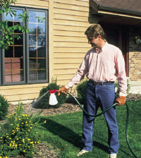 fertilizing the garden