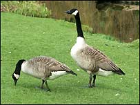 Belper River Gardens