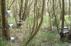 Monitoring methane on Flitwick Moor, Bedfordshire