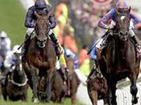 Horse racing generic image