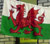 Baner Cymru
