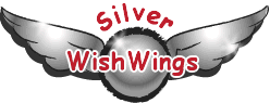 Silver WishWings