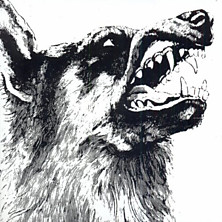 Review of I, Vigilante