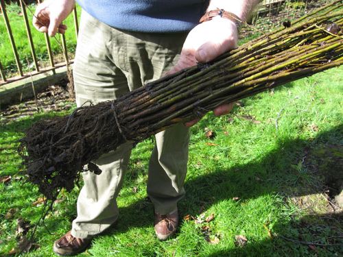 The hawthorn hedgerow will provide a great home for all sorts of wildlife.