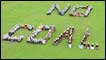 People making a formation of the words 'no coal'