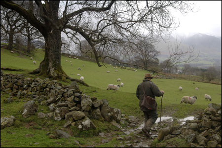 Rakefoot Farm, Keswick by Ian Berry