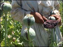 Afganistanul este cel mai mare producător şi exportator ilegal de opiu