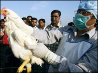 Kontrolli i shpendëve