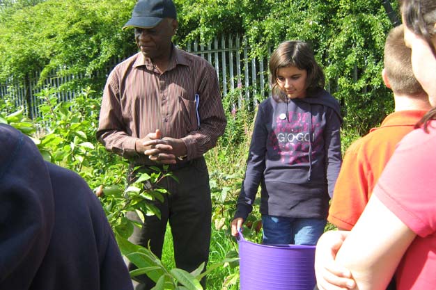 Harvesting the orchard
