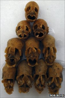 10 snapdragon seed pods