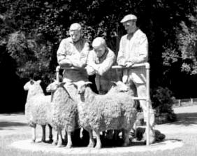 Cushendall Glens of Antrim