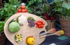 Modern vegetable display
